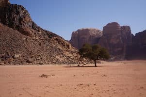  Поход по Иордании 