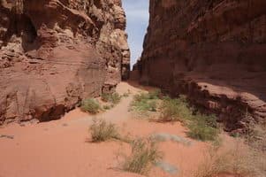  Поход по Иордании 