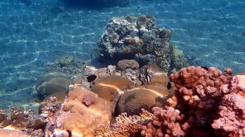  Поход по Иордании 