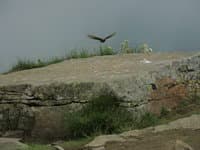 Поход по Карпатам Говерла и Петрос