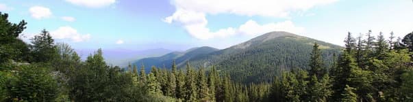 Поход по Карпатам Горганы