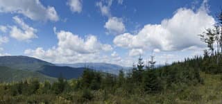 Поход по Карпатам Горганы