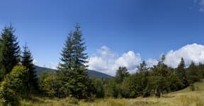 Поход по Карпатам Горганы