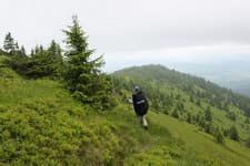 Поход по Карпатам Горганы