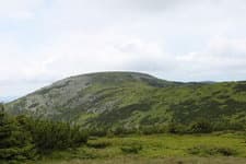 Поход по Карпатам Горганы