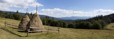 Поход по Карпатам Горганы