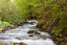 Поход по Карпатам-Мармарош