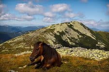 Поход по Карпатским водопадам