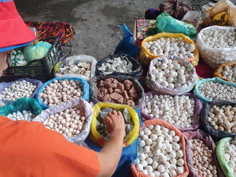 Поход по Кыргызстану Азиатская Патагония Каравшин и Ак-суу