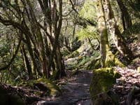 треккинг по Непалу к базовому лагерю Аннапурны