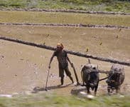 треккинг к базовому лагерю Аннапурны