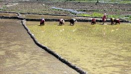 треккинг к базовому лагерю Аннапурны