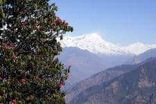 треккинг по Непалу к базовому лагерю Аннапурны