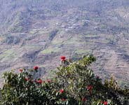 треккинг по Непалу к базовому лагерю Аннапурны