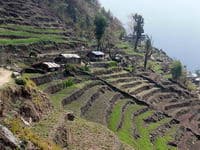 треккинг по Непалу к базовому лагерю Аннапурны