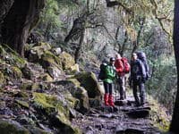 треккинг по Непалу к базовому лагерю Аннапурны
