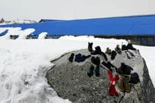 треккинг по Непалу к базовому лагерю Аннапурны