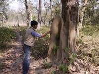 слоновий питомник