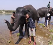 купание со слонами читван