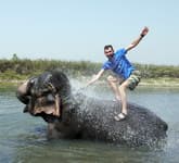 купание со слонами читван