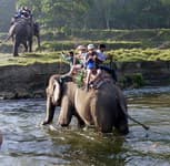 катание на слонах читван