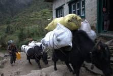 Треккинг по Непалу к базовому лагерю Эвереста