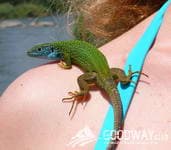 Поход по каньону Южного Буга. Мигея