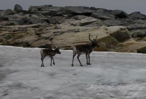 Поход по Норвегии