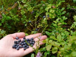 Поход по Норвегии