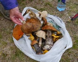 Поход по Норвегии