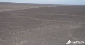 Экскурсии в Перу. Линии Наска