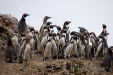 Поход по Перу