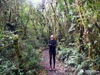 Поход в Перу. Салкантай трек