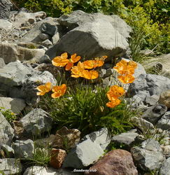 Поход по Качкару, Турция
