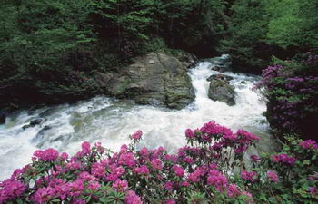 Поход по Качкару, Турция