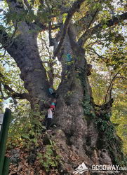 Поход по Турции Ликийская тропа без рюкзаков