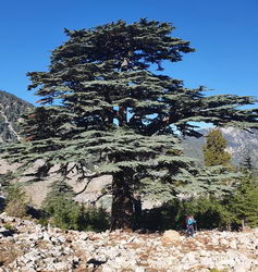 Поход по Турции Ликийская тропа без рюкзаков