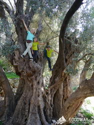 Поход по Турции Ликийская тропа без рюкзаков