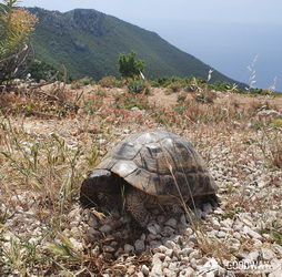 Поход по Турции Ликийская тропа без рюкзаков