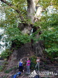 Поход по Турции Ликийская тропа восточная