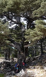 Поход по Турции Ликийская тропа восточная