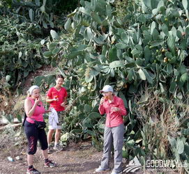 Поход по Турции Ликийская тропа восточная
