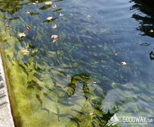 Поход по Турции Ликийская тропа восточная