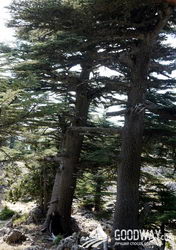 Поход по Турции Ликийская тропа восточная