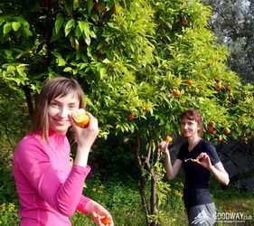 Поход по Турции Ликийская тропа западная
