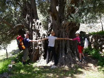 Поход по Турции Ликийская тропа западная